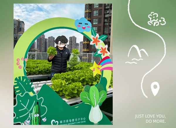 在成都月子中心坐月子，吃上自己采摘的新鲜有机蔬菜啦！4
